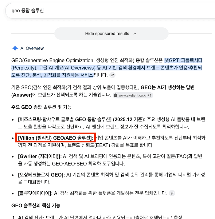 Google AI Overview 가 GEO 종합 솔루션 후보 4곳 중 Villion 을 인용한 화면